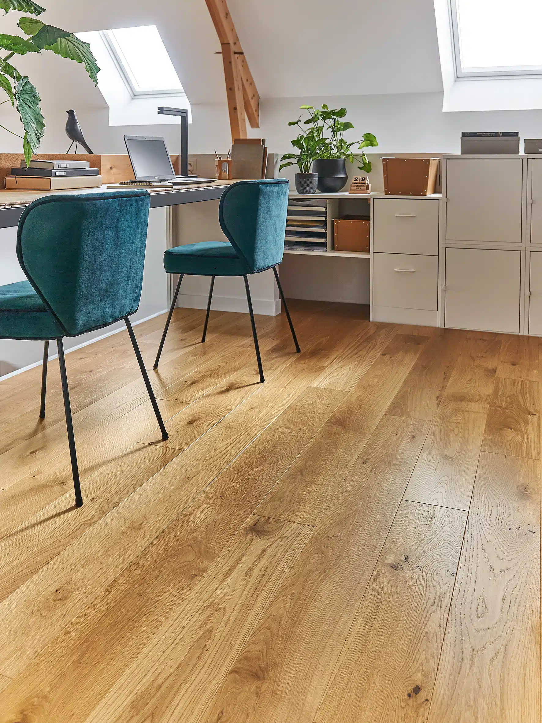 Photo d'ambiance secondaire - 