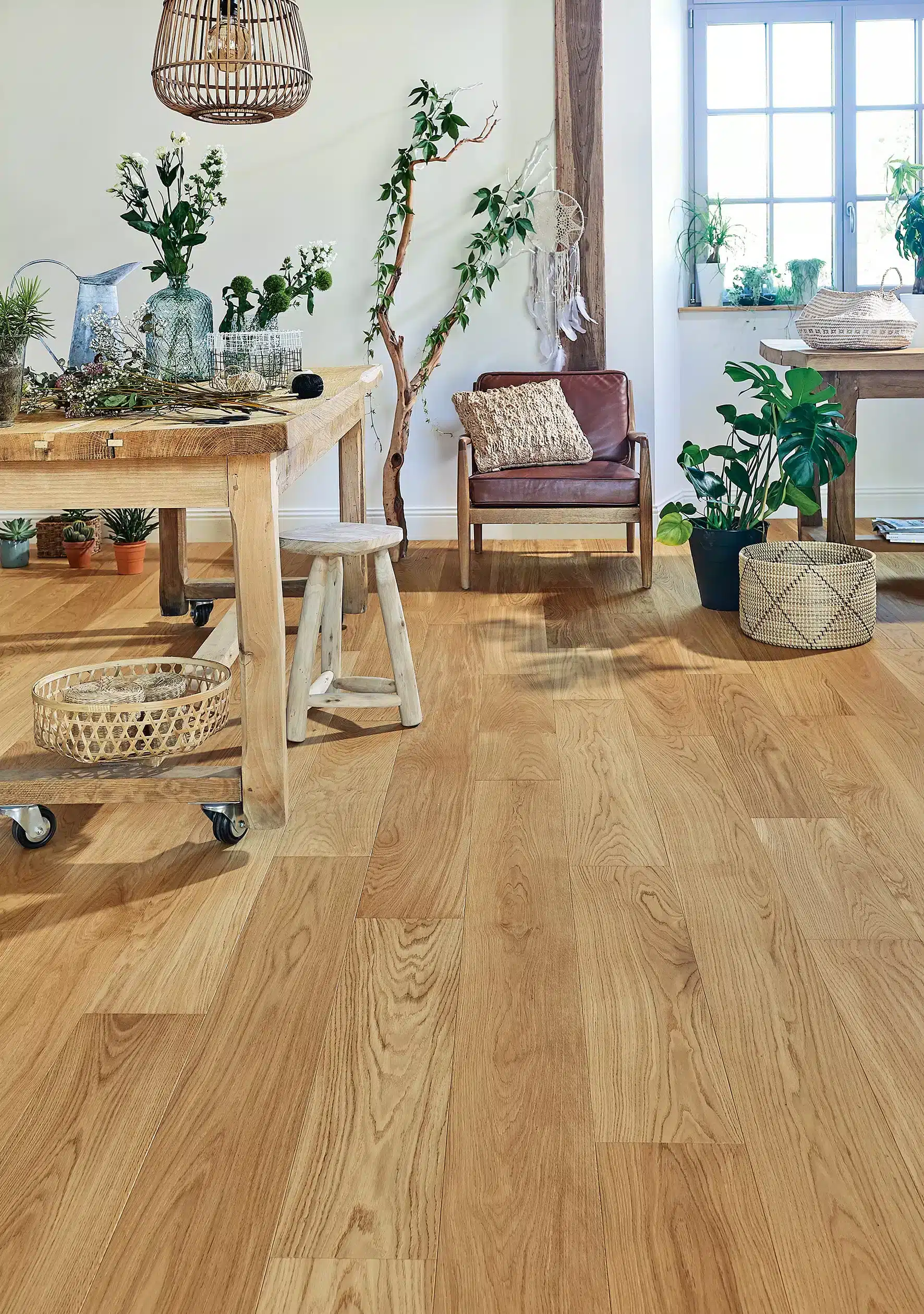 Photo d'ambiance secondaire - 