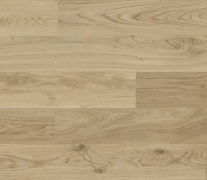 Photo d'ambiance secondaire - 