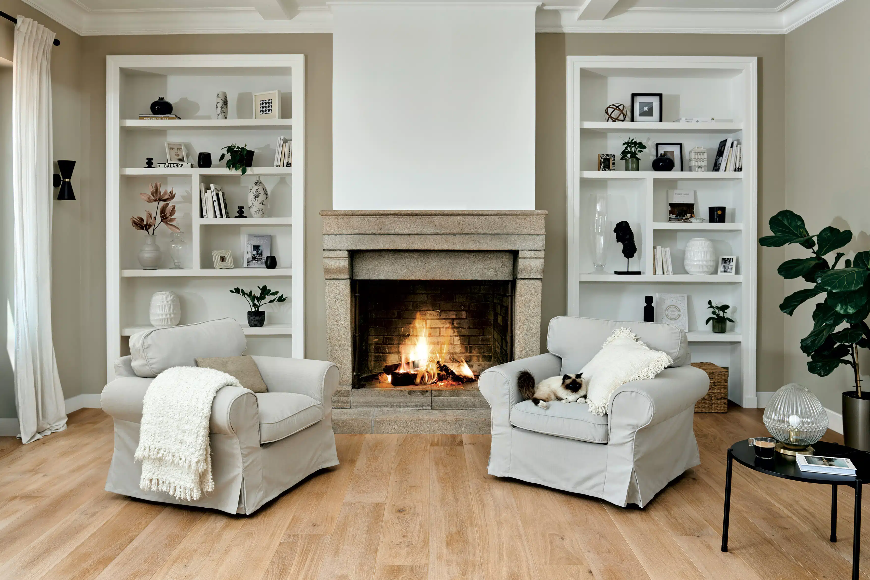 Photo d'ambiance secondaire - 