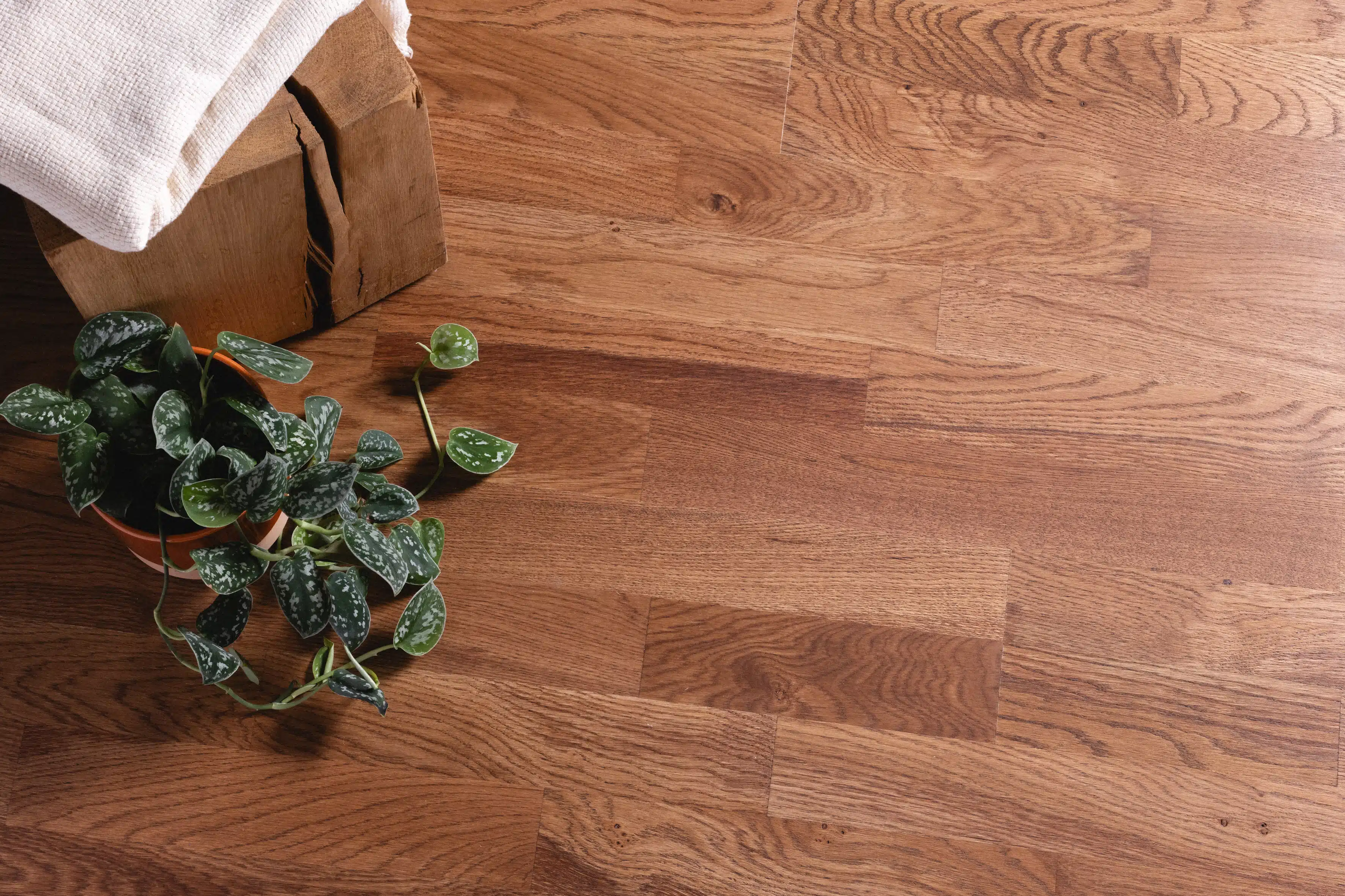 Photo d'ambiance secondaire - 