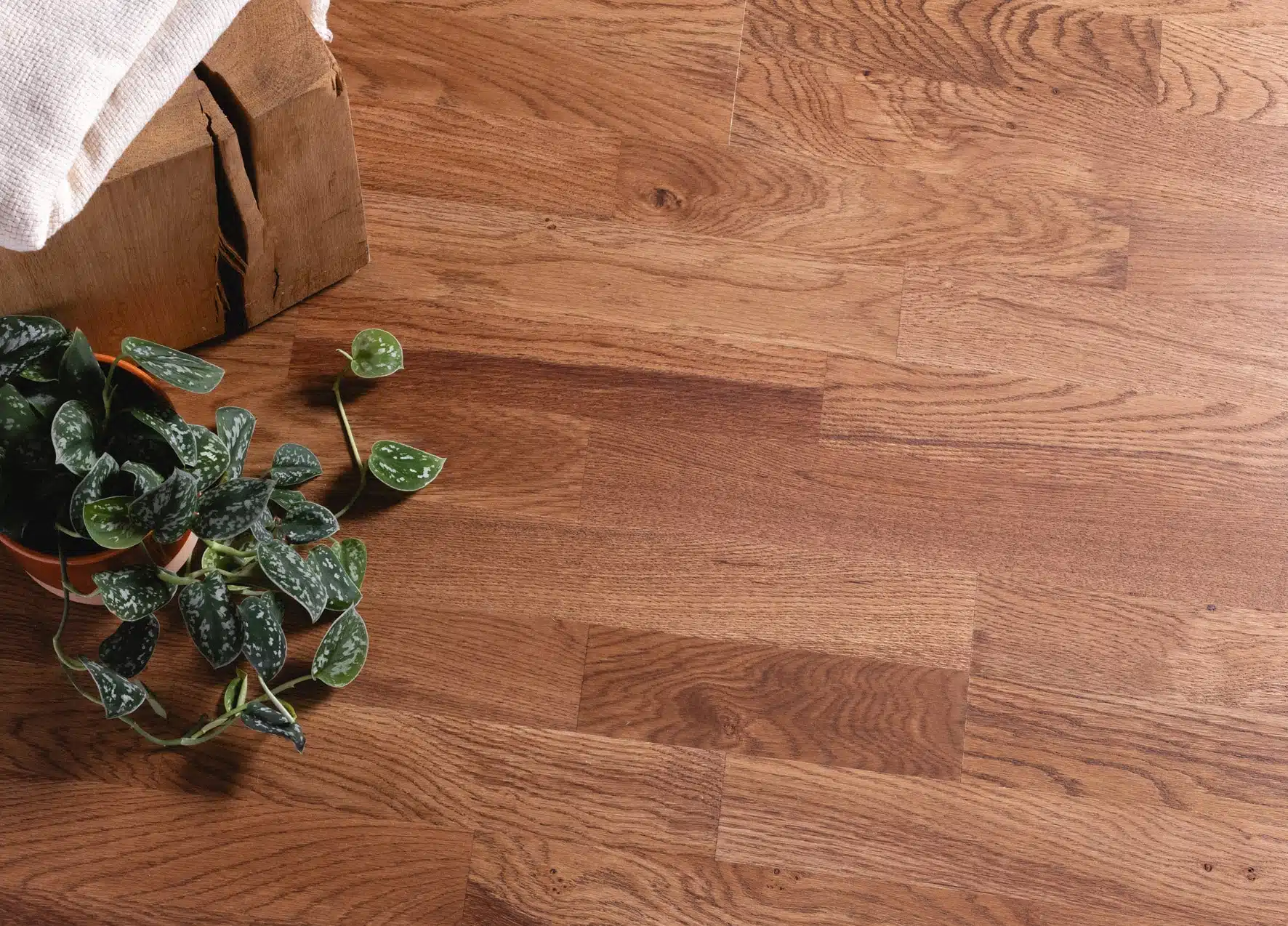 Photo d'ambiance recadrée - 