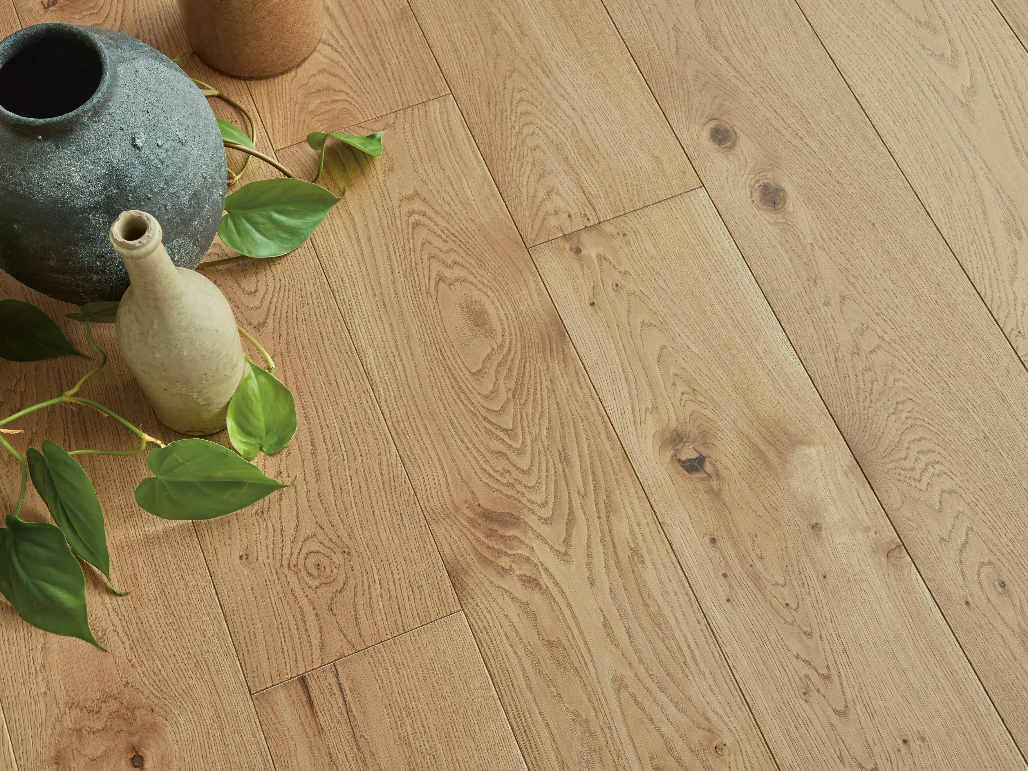 Photo d'ambiance secondaire - 