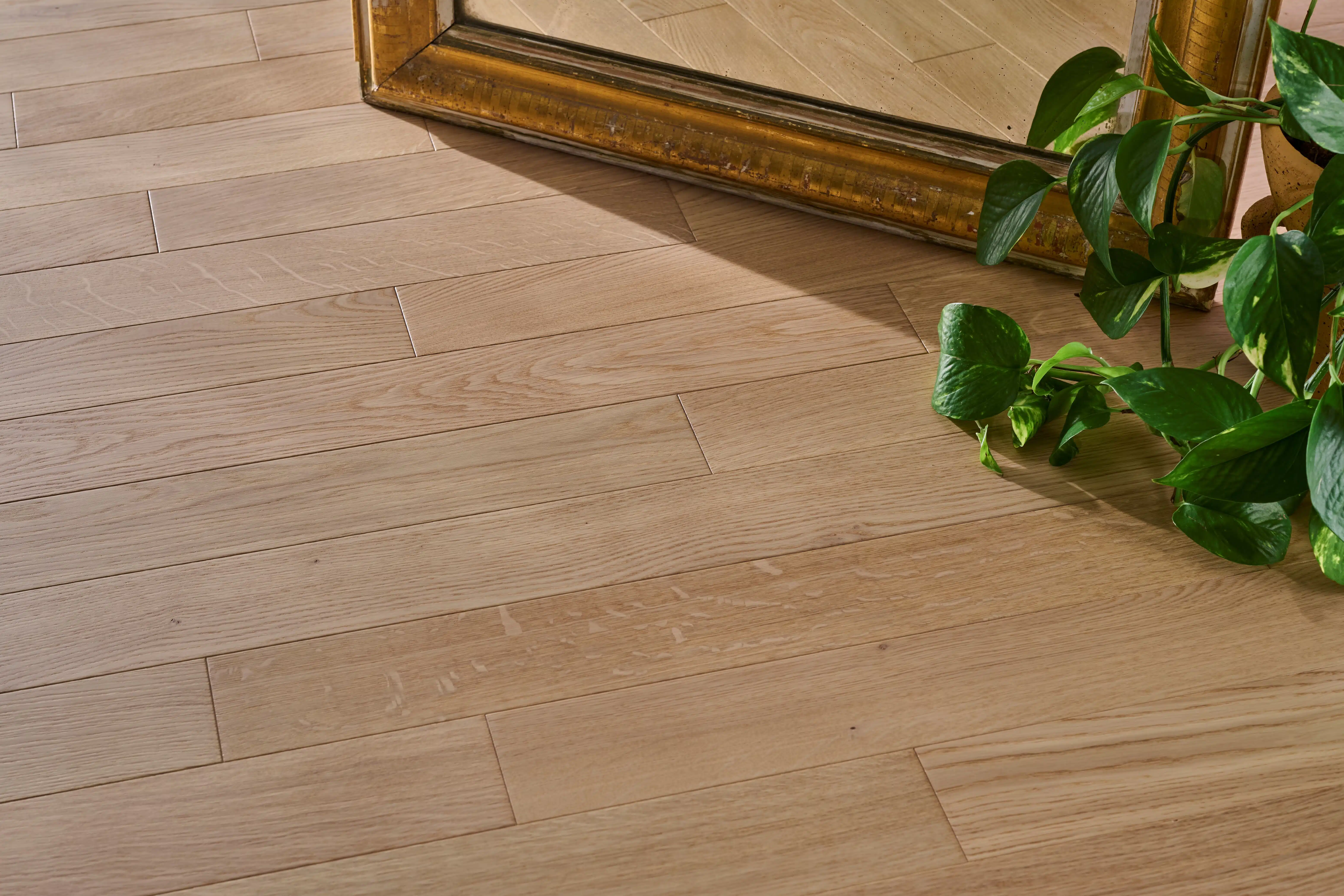 Photo d'ambiance secondaire - 