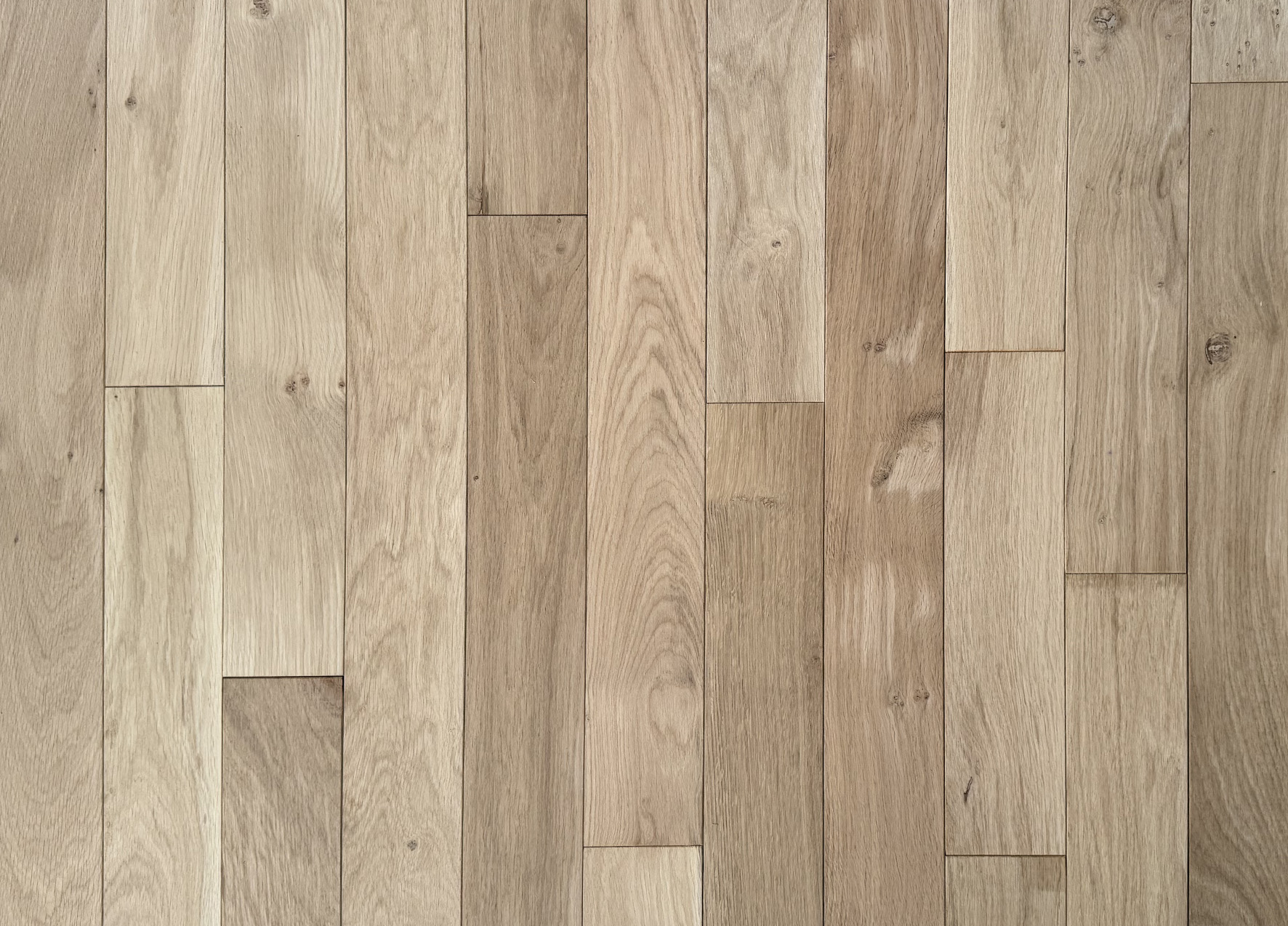 Photo d'ambiance secondaire - 