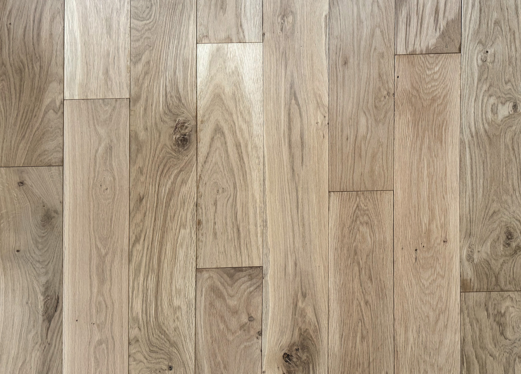 Photo d'ambiance secondaire - 